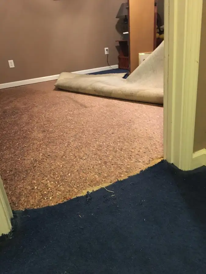 Carpet pad removal revealing water damage during Water Mitigation Services in Rowley