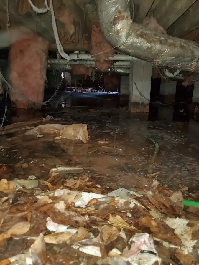 Crawl space flood assessment for Leak Detection & Repair in Rowley